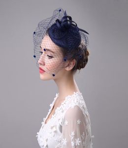 Navy Blue Black Beige Birdcage Net Wedding Bridal Fascinator Face Veils Feather Flower with Hairpins 4 Colors8945931