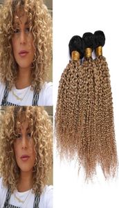 1B27 miodowa blondyn Ombre Kinky Curly Human Hair Bundles 3pcs Czarny korzeń jasnobrązowy ombre brazylijskie dziewicze ludzkie włosy Wefts6681793