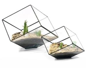 Geometriska kuber glas terrarium heminredning växt köttig blomma hållare vas potten y031427069935397483