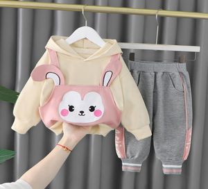 Kızlar Karikatür Giysileri Setleri Bahar Sonbahar Çocuklar Pamuklu Sevimli Hoodies Pantolon Bebek Çocuklar İçin Doğum Günü Kıyafetleri Toddler Sports7765549