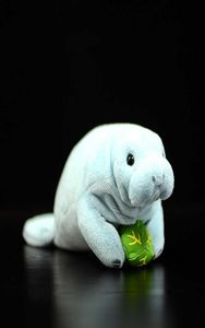 Manatee Söt simulering Steller039S Sea Cows Dolls Soft Plush Toy Lifelike Trichechu Sea Animal Fin Hydrodamalis Gigas Kids Gif7870015