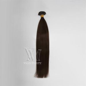 VMAE Top Burmese Natural Color 100g Straight Prebondered Colorful 100g Keratin I U Flat Tip Keratin Nail Human Hair Extension19366539457688