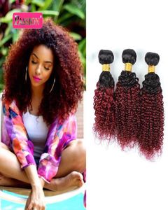 Brazylijskie ombre ludzkie włosy 3 wiązki dwa ton 1B99J Burgundii Kinky Curly Human Hair Weave Kolor Brazylijskie Human Hair Extensons5868787