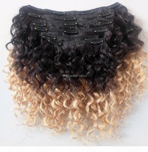 Wholes Brazilian Human Hair Vrgin Remy Hair Extensions Clip In Curly Hair Style Natural Black 1b Blonde Ombre Color7329896