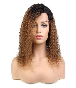 Glueless FullFront Lace Wigs Brazilian Hair Ombre color long Human Hair raw remy new kinky curly4537693