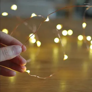 Strängar LED -stränglampor Batterierskytte Sliver Wire Fairy Garland Light Holiday Decoration jullampor Färglampor