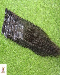 Kinky Curly Clip in Human Hair Extensons 2036 cala Brazylijska 7a Kinky Curly Clipins 9PCS100G1085876