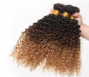 3 Bundles Ombre Kinky Curly 1B427 Color Human Hair Extensions Afro Kinky Curly Brazilian Virgin Human Hair Bundles3704873