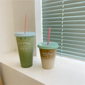 Water Bottles Kawaii Cute Bottle Plastic For Coffee Juice Milk Tea Cold Cups With Lid Straw BPA Free Summer Portable Reusable Drinking