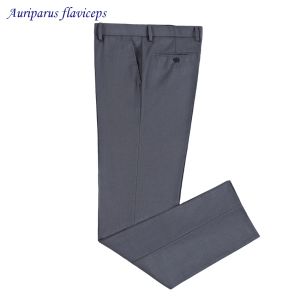 Hosen neue Sommerstil Männer Wolle Mischung grauer Anzug Pant Business Casual Kleid Hose dünne Hosen für Mann klassische graue Hose