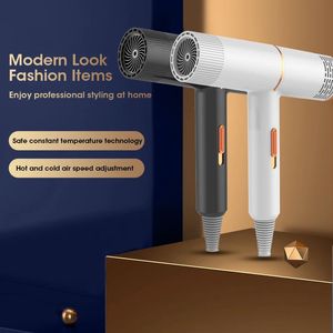 Electric Hair Dryer Strong Wind Salon Air Cold Negative Ionic Hammer Blower Dry Professional 240305