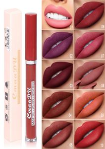 CmaaDu Maquiagem Lip Gloss Sexy Nude Cor Glosses Batom Líquido À Prova D 'Água de Longa Duração Matte Lipgloss6049897