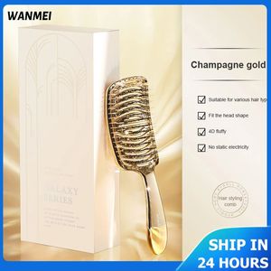 1 Pcs Gift Box Set Comb Fluffy Hair Anti-frizz Brush Dry Wet Head Scalp Massage Comb Salon Professional Hairdressing Brush Kit 240323