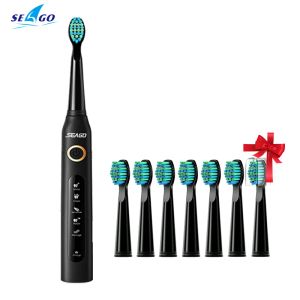 Tandbrush Seavo Sonic Electric Tooth Brush SG507 Micro USB laddningsbar vuxen timer Elektronisk tandborste ersättare på återfyllning av gåva