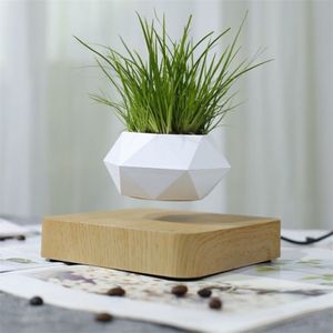 Zawieszenie magnetyczne kwiat lewitujący powietrze bonsai roślina soczysta z dekoracji patio Kwiat zielony C1111266p