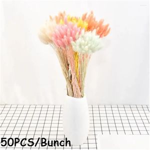 Decorative Flowers Wreaths Home Decoration Pastoral Style Plant Stems Natural Material Tails Lagurus Ovatus Dried Bouquets Tail Grass Othup