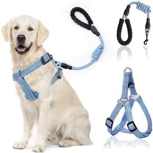 Pettorina per cani Guinzaglio Corda Set Cani regolabili Pettorale Trazione posteriore Cucciolo Pet Nylon Durevole Cintura da passeggio per esterni Collari Guinzaglio219a