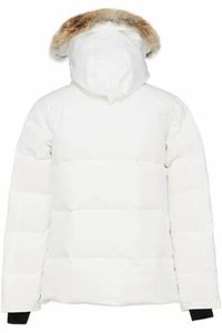 Designer-Daunenjacke, luxuriöse Herren-Wintermäntel, Damen-Parka-Mantel, Pufferjacke, winddichte Stickerei, Großhandel, Streetwear, hochwertige kausale Oberbekleidung