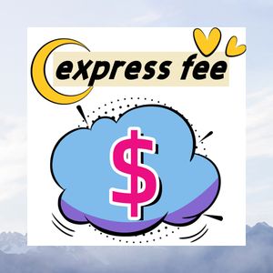 Express shipping fee differential exclusive link logistics fee express fee