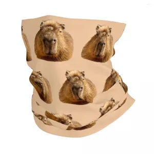 Bandanas Capybara Dozing In The Sunshine Bandana Neck Gaiter UV Protection Face Scarf Cover Men Women Headband Tube Balaclava