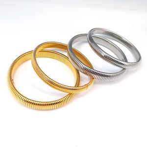 Smycken armband halsband Nytt titangås hals elastiskt guld rostfritt ljus stål tråd orm benarmband fabriksstål