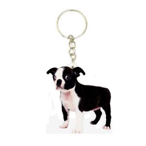 Boston terrier akryl hund nyckeling mode söta charm nyckelringar män nyckelkedja ring pojkvän gåvor för kvinnor kläder188a