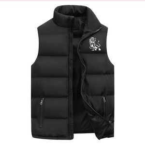 Herrenweste, Winterkleidung, Jacke, Oberbekleidung, Mäntel, Herbst, ärmellos, Stehkragen für Wärme und verdicktes Tanktop 240229