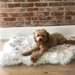 Faux Fur Dog Mat Curve White Winter Soft Warm Cozy Pet Cushion for Medium Large Dogs & Cats - Durable & Luxurious Throws Blanket 2287J