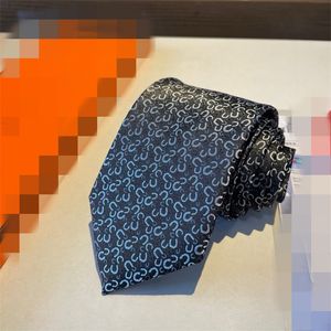 2024 Fashions Mens Impresso 100% Gravata de Seda Gravata Preto Azul Aldult Jacquard Sólido Casamento Negócios Tecido Design Havaí Gravatas com Caixa 999