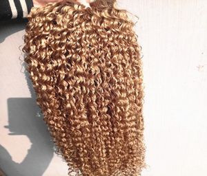 Brasilianska mänskliga jungfru remy kinky lockiga hårförlängningar remy mörk blond färg hår weft 23bunds för full huvud1987043