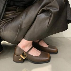 Buckle 286 Shoes Metal Dress Thick Heel Mary Jane for Women 2024 Square Toe Shallow Mouth Small Leather Casual Walking 64333