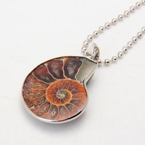 Collana di fossili di ammoniti Collana di turbinii di ammoniti in argento Lumaca Gioielli di ammoniti Fossili Gioielli Bohemian1247K