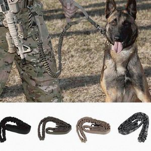 Coleira para cães 1000D Nylon Tático Treinamento Militar Coleiras elásticas para animais de estimação Multicolor YL975816 Leashes194f