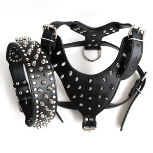 Whole-Brown Large Spiked&Studded Leather Dog Harness&Collar SET for Pit Bull Mastiff309a