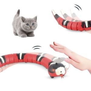 Giocattoli per gatti con rilevamento intelligente Interattivo automatico elettronico Snake Teaser Gioco al coperto Giocattolo per gattini USB ricaricabile per s 211026247p