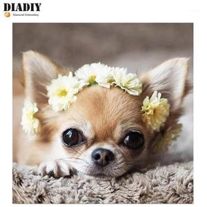 Resimler diadiy tam kare 5d diy elmas boya sevimli köpek nakış chihuahua çapraz dikiş rhinestone mozaik sanat1230k