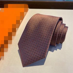 Fashions Mens Printed 100% Tie Silk Necktie Lette Aldult Jacquard Solid Wedding Business Woven Design Hawaii Neck Ties with box