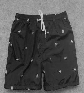 Sommer Männer Shorts Solide kleines pferd Männliches pony Baumwolle Hohe Qualität Acryl Bademode Sport Badehose Kurze Hosen Größe SXXL39153627826666