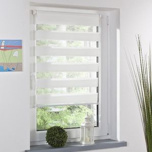 Fashion Roller Zebra Blind Curtain Window Shade Decor Home Office White334v
