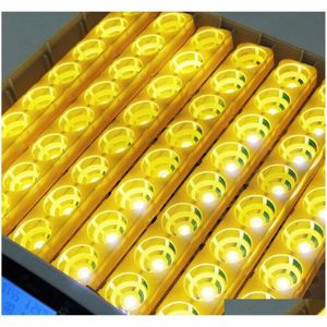32 Incubatrice digitale per uova Matic Hatcher Temperatura Cont qylYCS imballaggio20102470