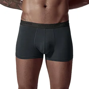 Underpants herrmode skarv mjuka trosor knickers shorts sexiga underkläder #y2