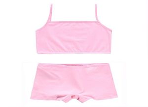 2setslot Training Bras Set For Girls Teenage Underwear Set Cotton Underwears For Girls Bra For814years5493385