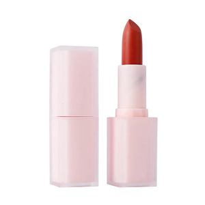 Colore chiaro Opaco Facile da indossare Tutte le labbra Tinte Impermeabile Idratante Etichetta privata Rossetto solido Trucco sfuso personalizzato Bellissimo 240305