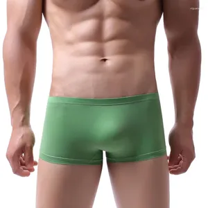 Underpants Underwear Men Boxer Panty Solid Ropa Interior Hombre Nylon Calzoncillo Para Bielizna Bokserki