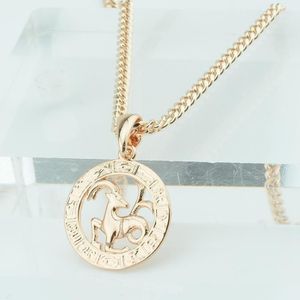 FJ 12 Zodiac Sign Womens Mens 585 Rose Gold Color Constellation Pendants Pisces Aquarius Curb Necklace Chain1306I