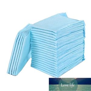 100st Super Absorbent Pet Diaper Dog Training Pee Peys Disponible Healthy Nappy Mat for Cats Apparel Factory Expert Design 2469