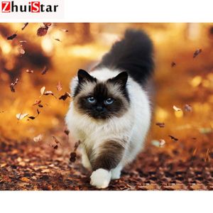 5D Malarstwo diamentów DIY Full Display Animal White Cat Diamond Haft haft pełny kwadratowy obraz mozaiki z kryminalistą XY1246N