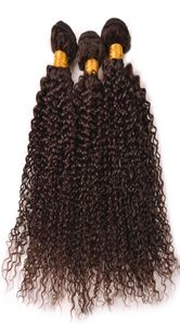 Malezja Virgin Human Hair Bundles Kinky Curly Chocolate Brown Human Hair Weft Średni brązowe 4 falujące włosy przedłużenie 3pcs dla kobiety2849410