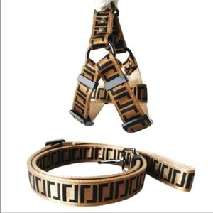 Double letter dog chest back pet leash pet supplies double letter collar car seat belt 2021 material polyester Item no 026293S