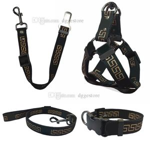 Hundkrage Leases Set Designer Dog Harness Leash Pets Car Seat Belts Classic Bronzing Font Mönster Pet Colars For Small Medium L263R